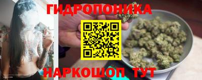 гидропоника Изобильный