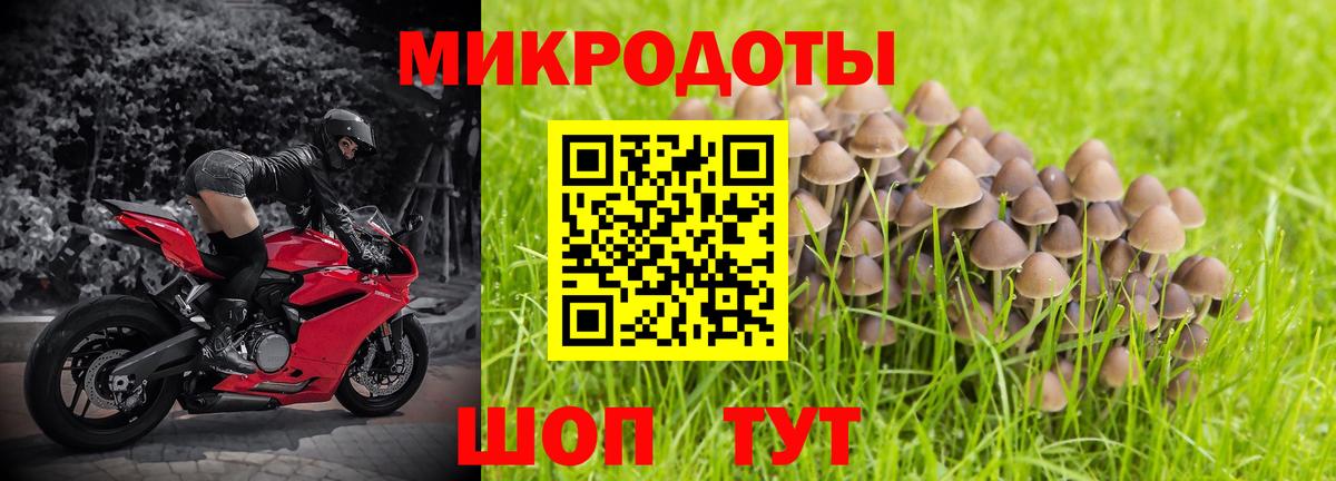 Псилоцибиновые грибы мухоморы Кушва