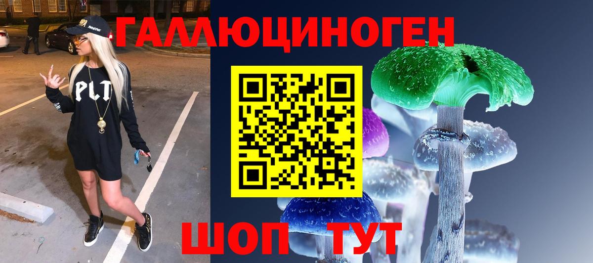 Кушва  Галлюциногенные грибы GOLDEN TEACHER  продажа наркотиков  Вход с VPN  Псилоцибиновые грибы мицелий 